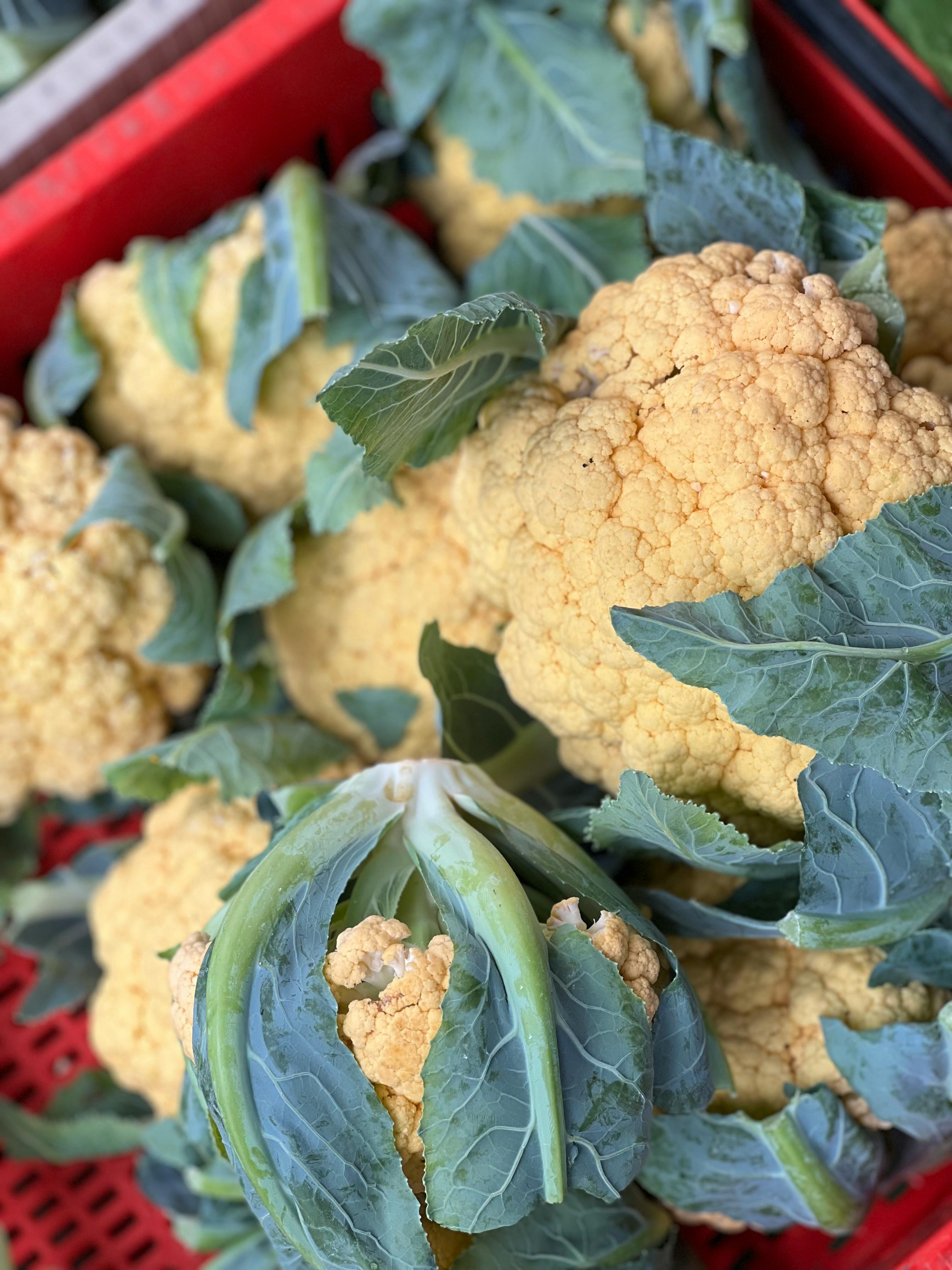 Cauli Flower Image